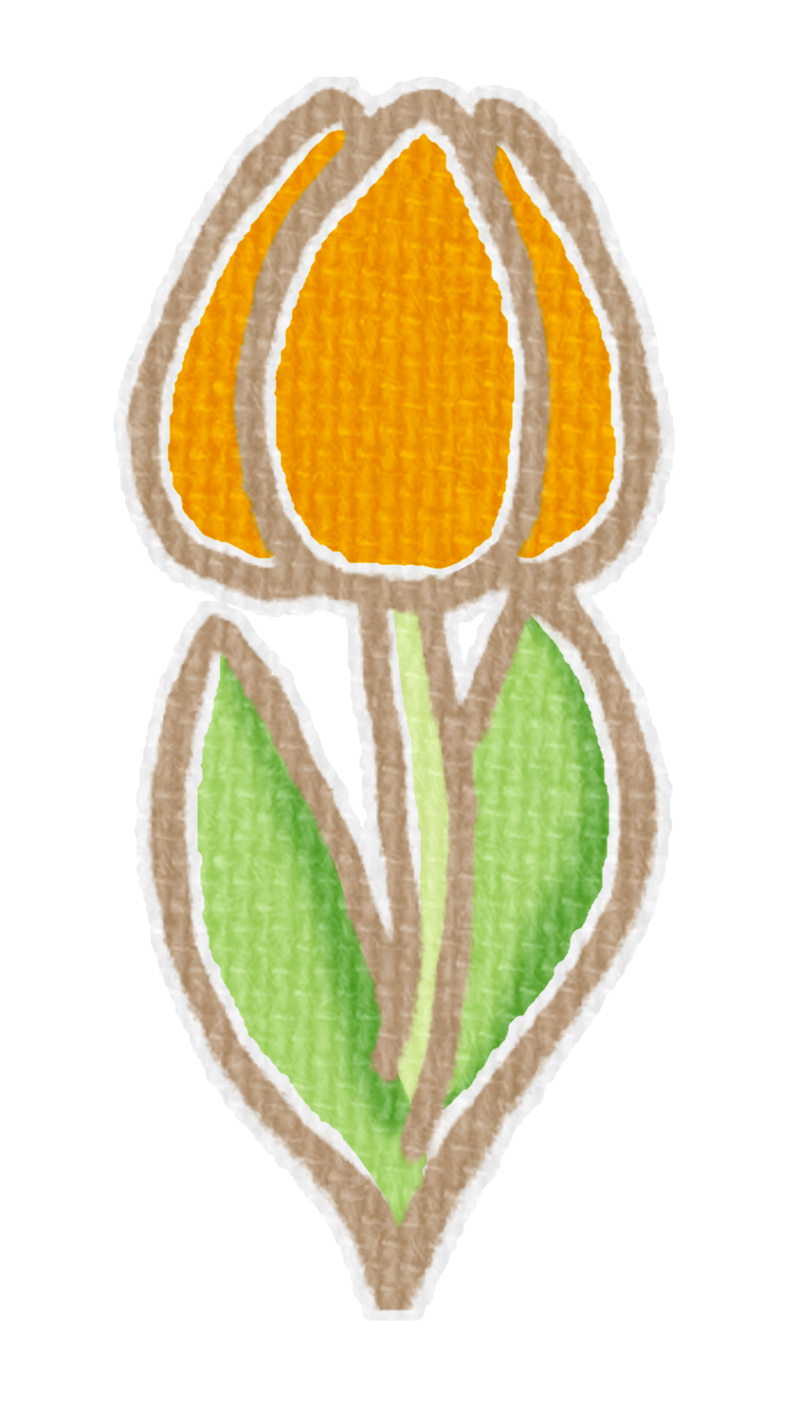 オレンジ色のチューリップのイラスト、春の季節をイメージした可愛い素材