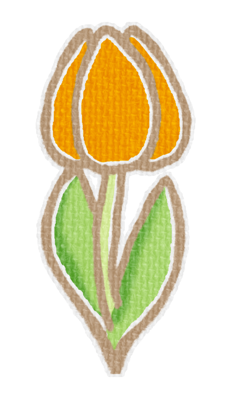 オレンジ色のチューリップのイラスト、春の季節をイメージした可愛い素材