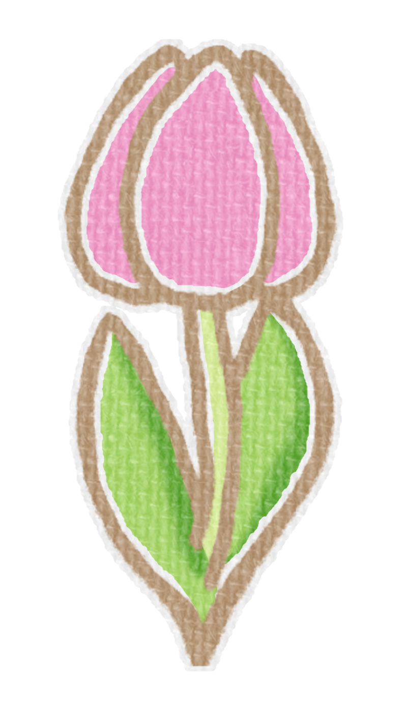 ピンクのチューリップのイラスト、春の季節をイメージした可愛い素材