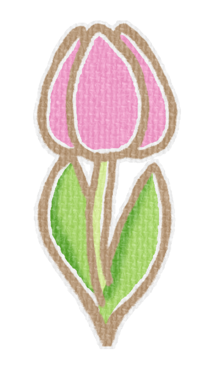 ピンクのチューリップのイラスト、春の季節をイメージした可愛い素材