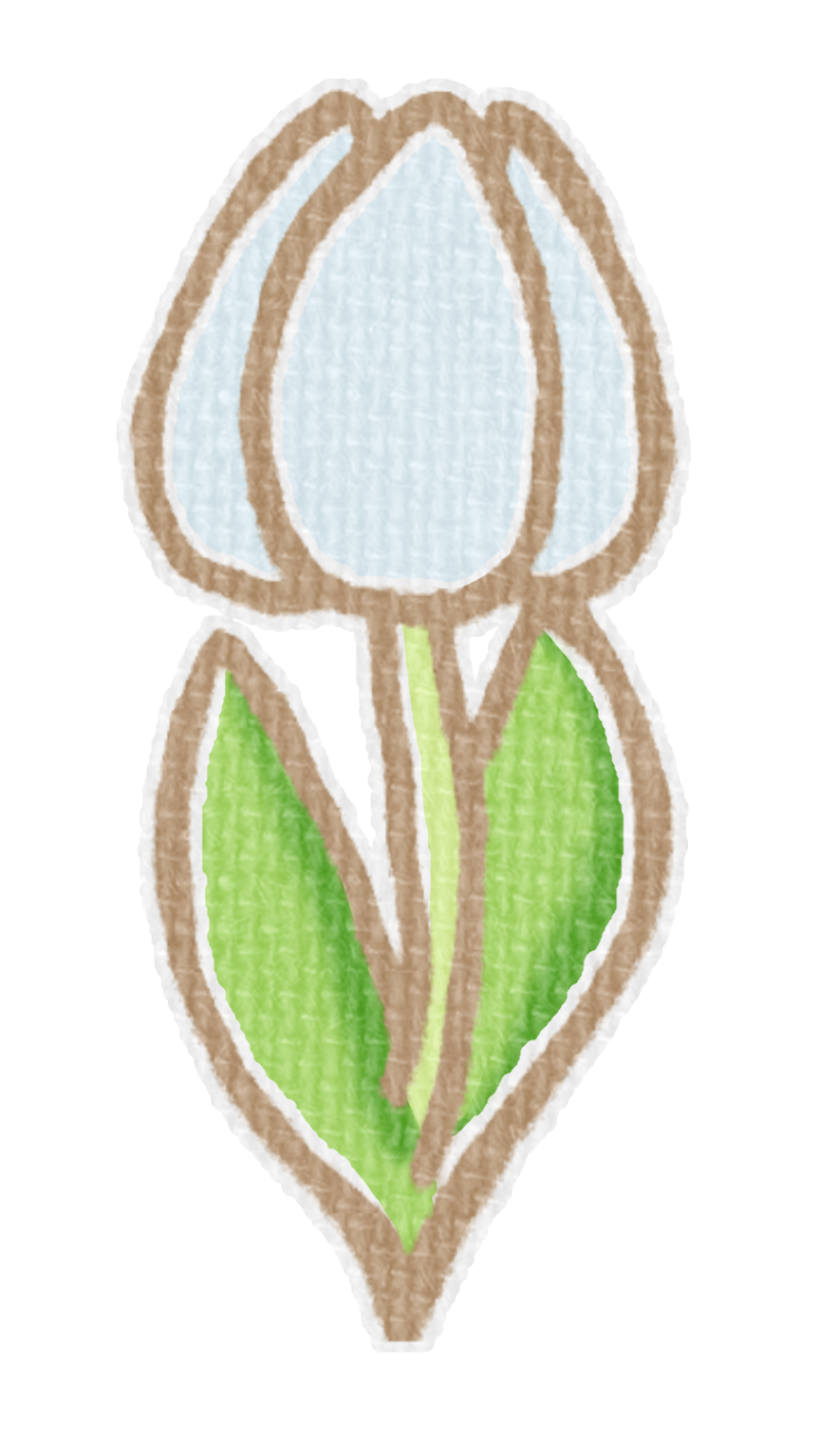 白いチューリップのイラスト、春の季節をイメージした可愛い素材