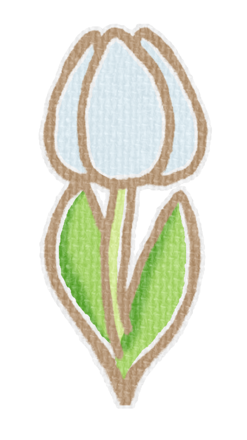 白いチューリップのイラスト、春の季節をイメージした可愛い素材