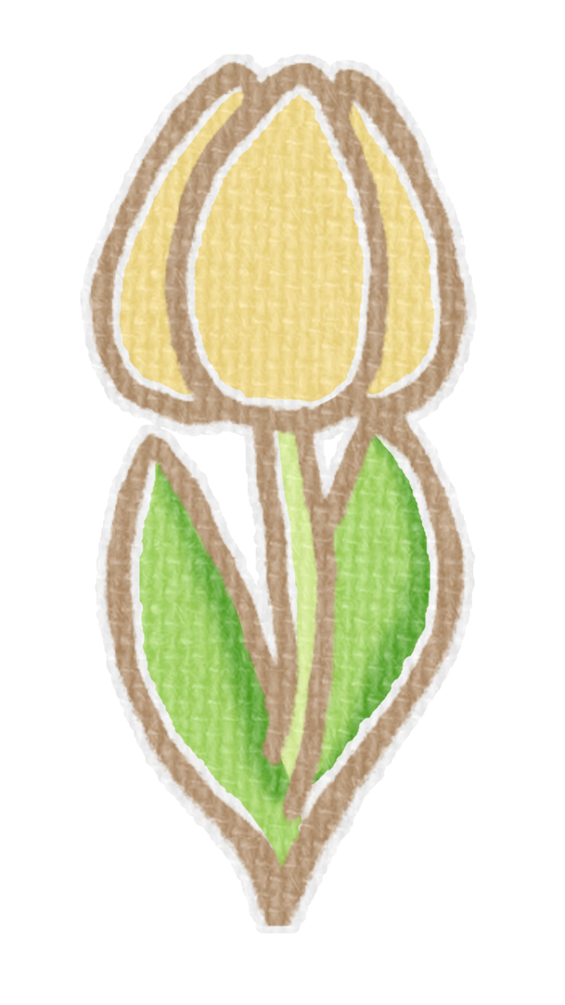 黄色いチューリップのイラスト、春の季節をイメージした可愛い素材