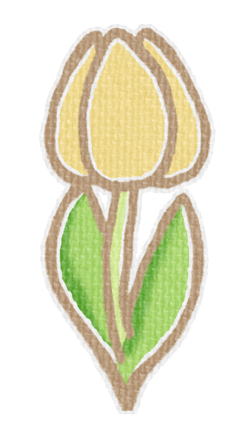 黄色いチューリップのイラスト、春の季節をイメージした可愛い素材