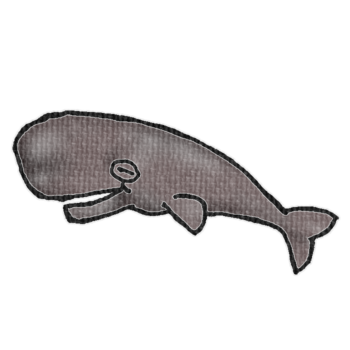 マッコウクジラのイラスト、夏の季節をイメージした可愛い素材