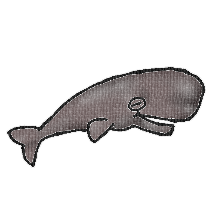 マッコウクジラのイラスト、夏の季節をイメージした可愛い素材
