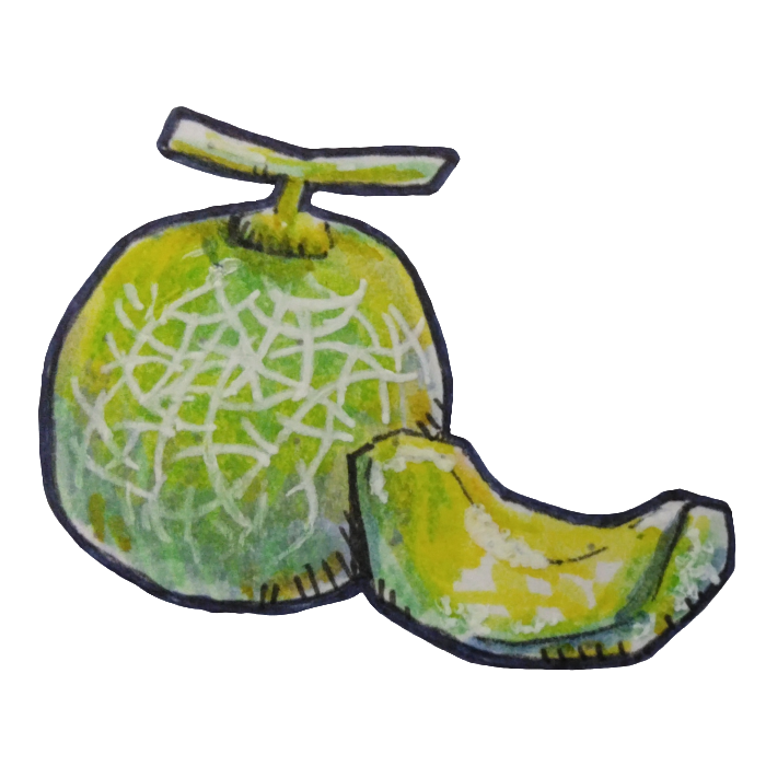 メロンのイラスト