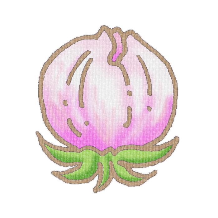 花の蕾のイラスト
