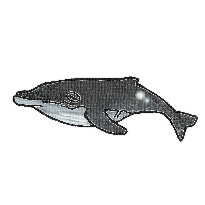 ザトウクジラのイラスト、夏の季節をイメージした可愛い素材