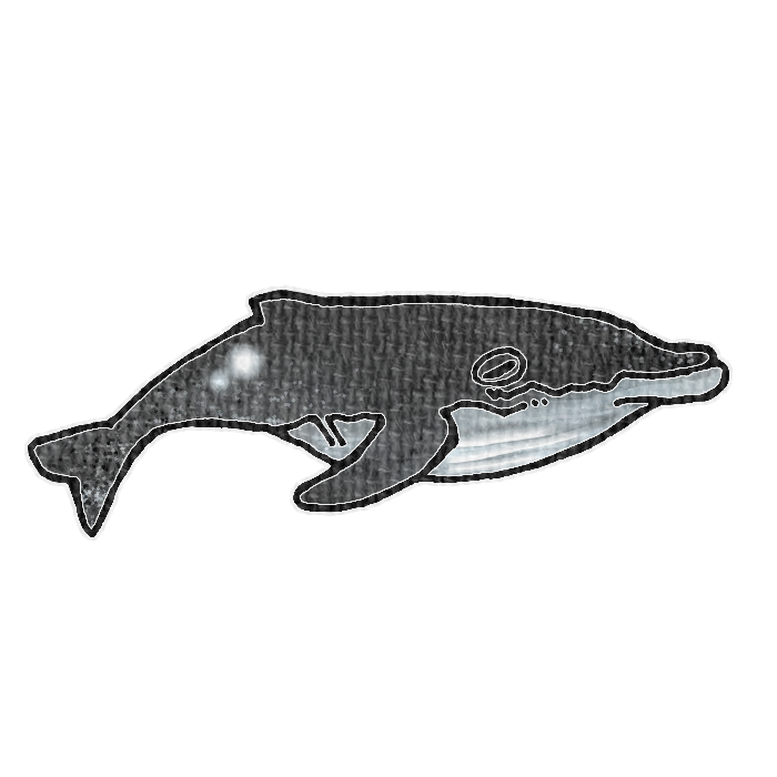 ザトウクジラのイラスト、夏の季節をイメージした可愛い素材
