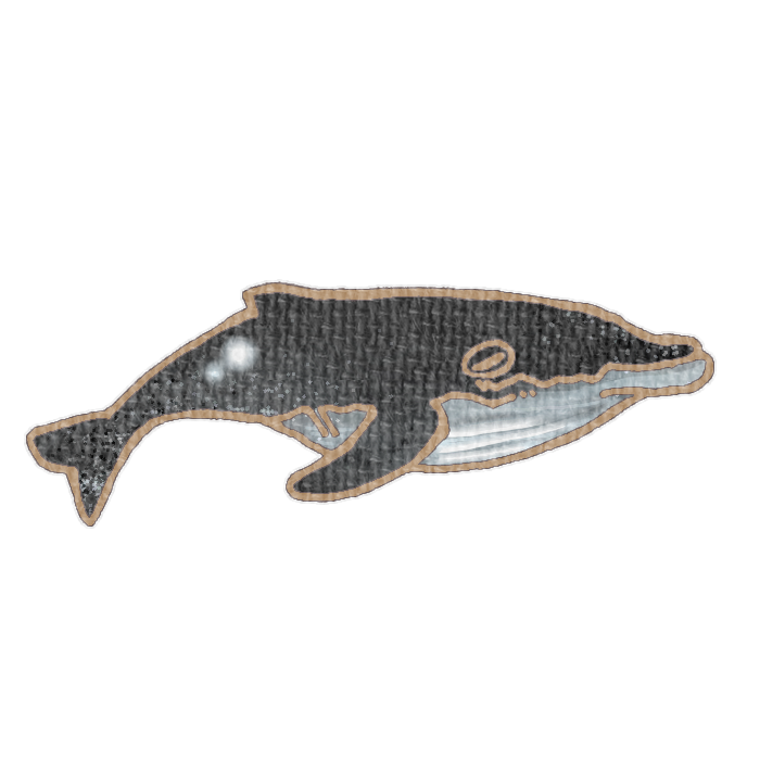 ザトウクジラのイラスト、夏の季節をイメージした可愛い素材