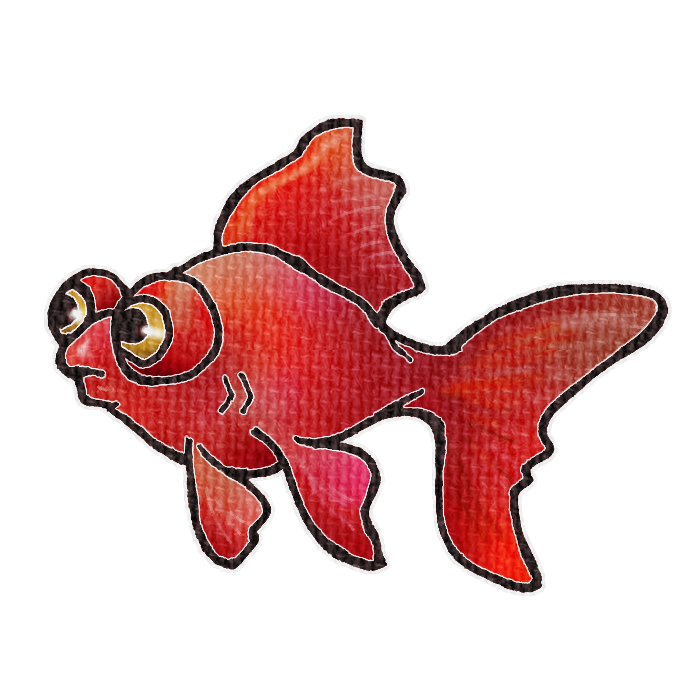 赤い金魚の透過イラスト