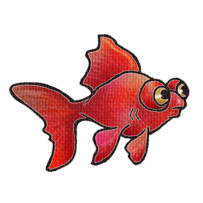 赤い金魚の透過イラスト
