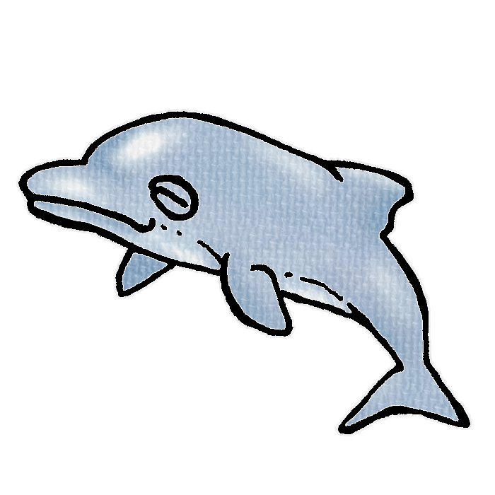 灰色のイルカのイラスト、夏の季節をイメージした可愛い素材