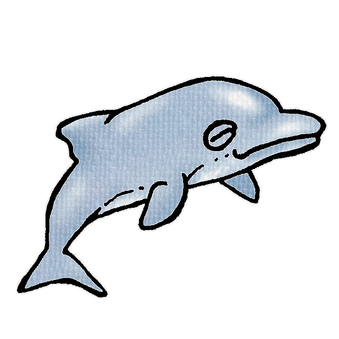 灰色のイルカのイラスト、夏の季節をイメージした可愛い素材