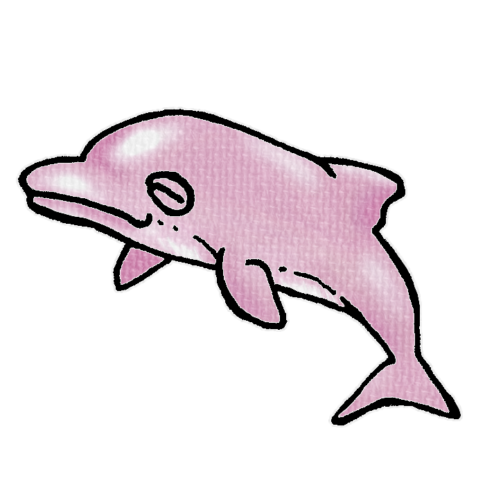 ピンク色のイルカのイラスト、夏の季節をイメージした可愛い素材