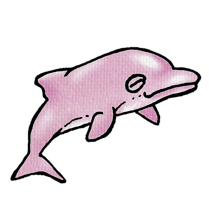 ピンク色のイルカのイラスト、夏の季節をイメージした可愛い素材