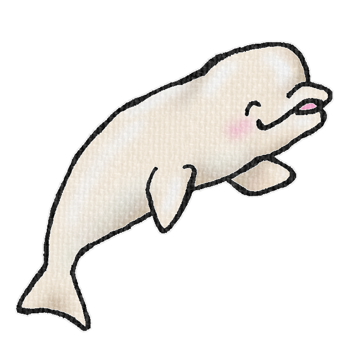 シロイルカのイラスト、夏の季節をイメージした可愛い素材