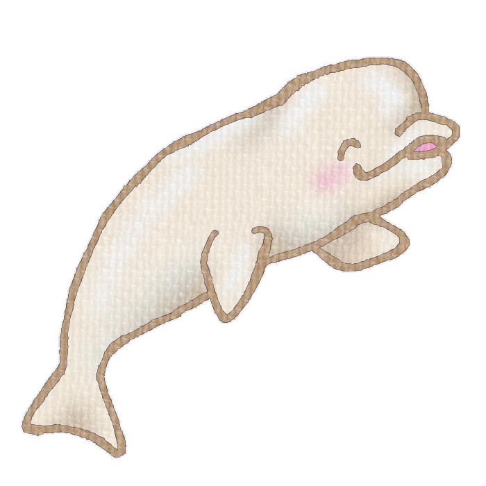 シロイルカのイラスト、夏の季節をイメージした可愛い素材