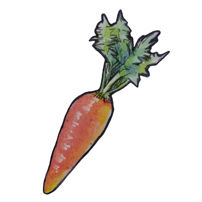 百均マーカーで描いたにんじんの透過イラスト
