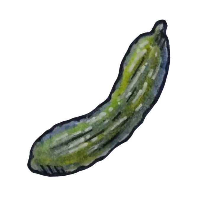 百均マーカーで描いたきゅうりの透過イラスト