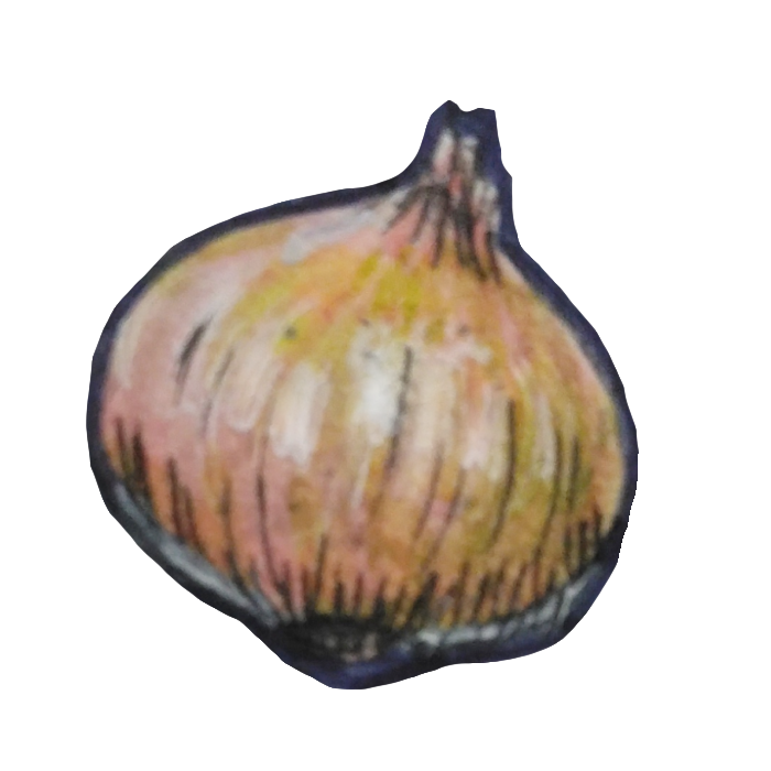 百均マーカーで描いたタマネギの透過イラスト
