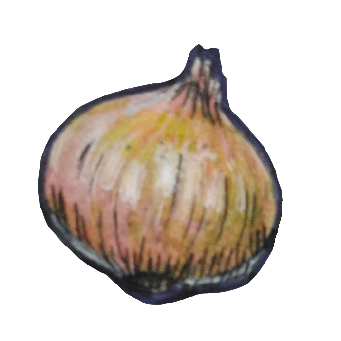 百均マーカーで描いたタマネギの透過イラスト