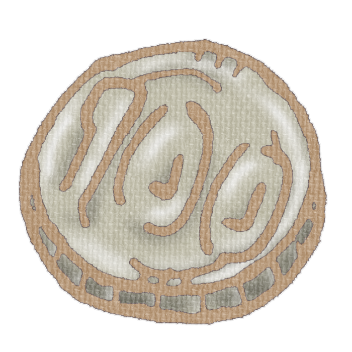 100円硬貨の透過イラスト