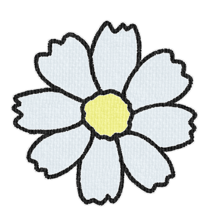 白色のコスモスの透過イラスト