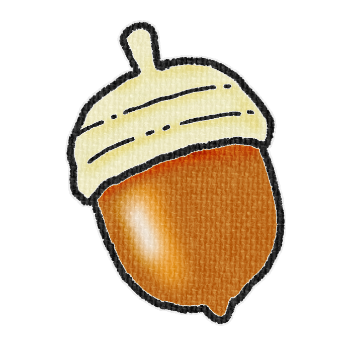 黄土色のどんぐりの透過イラスト