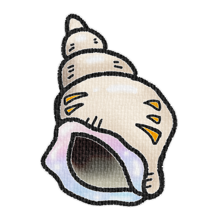 白色の左巻き巻貝の透過イラスト素材