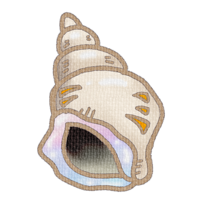 白色の左巻き巻貝の透過イラスト素材