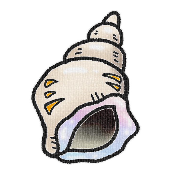 白色の右巻き巻貝の透過イラスト素材