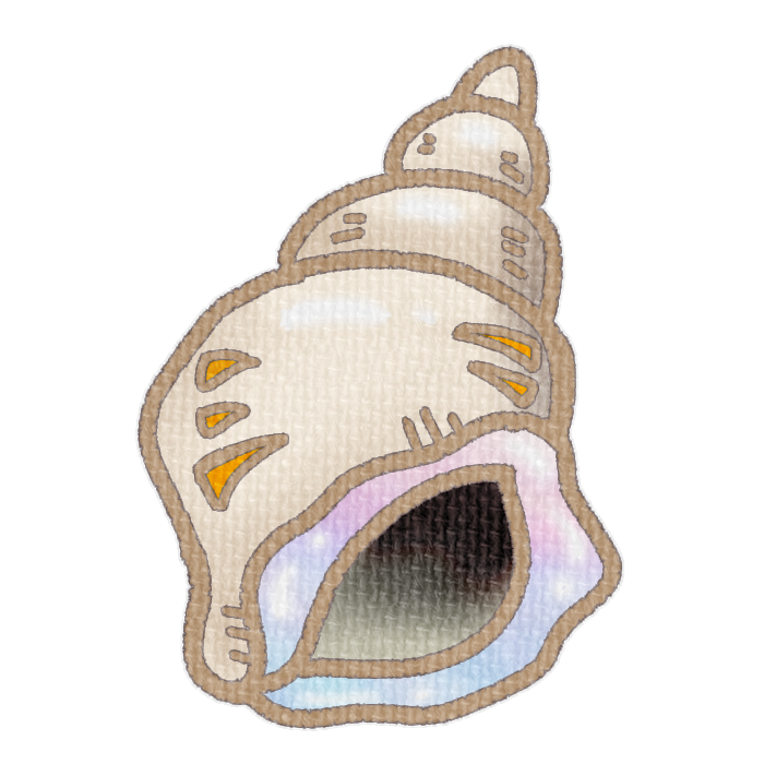 白色の右巻き巻貝の透過イラスト素材